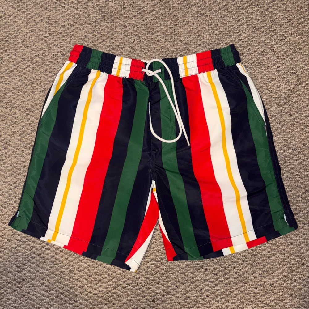 Forever 21 Striped Swim Trucks